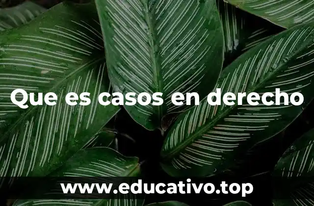 Que es casos en derecho