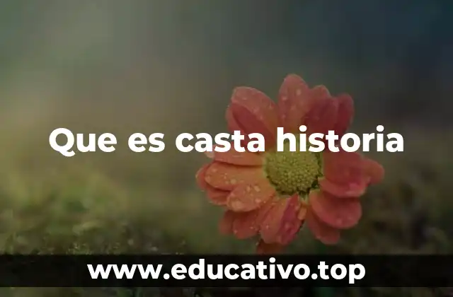 Que es casta historia