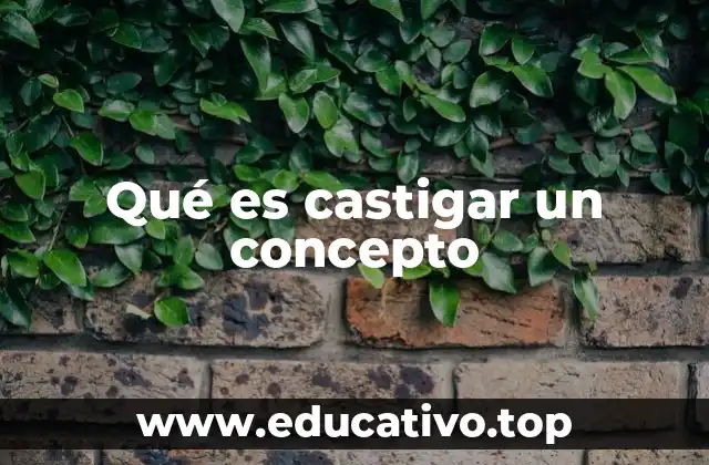 Qué es castigar un concepto