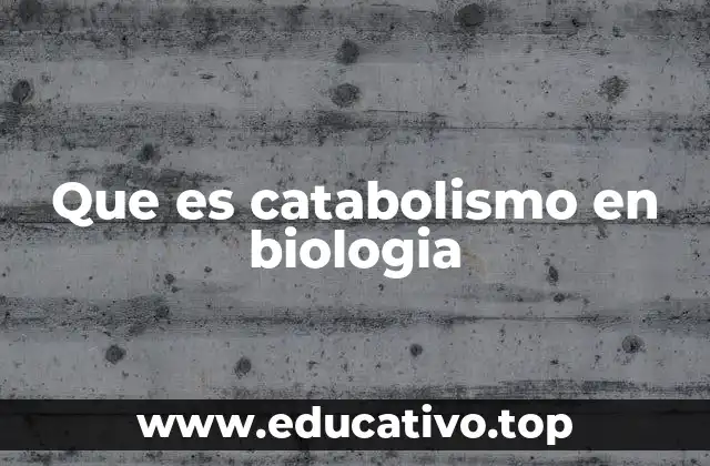 Que es catabolismo en biologia