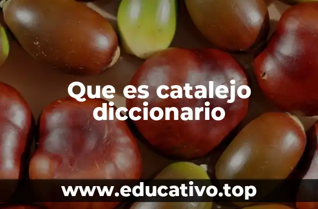 Que es catalejo diccionario
