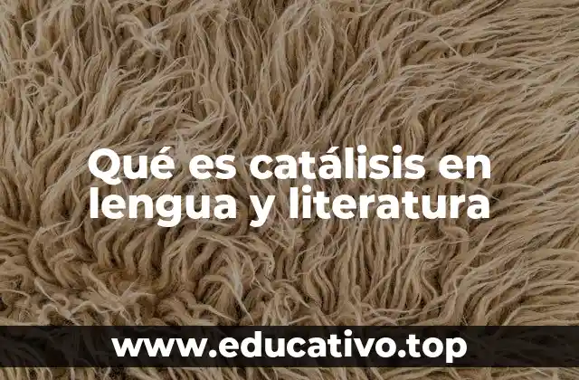 Qué es catálisis en lengua y literatura