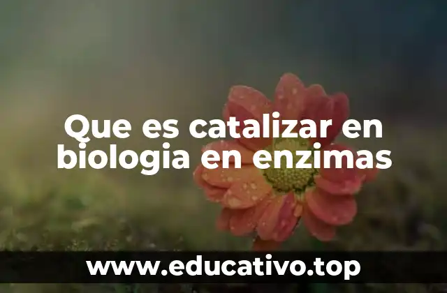 Que es catalizar en biologia en enzimas