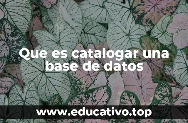 Que es catalogar una base de datos