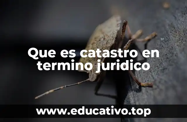 El papel del catastro en la administración pública