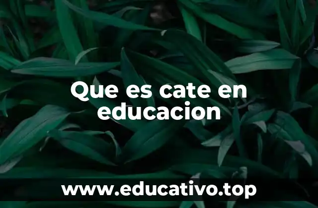 Que es cate en educacion