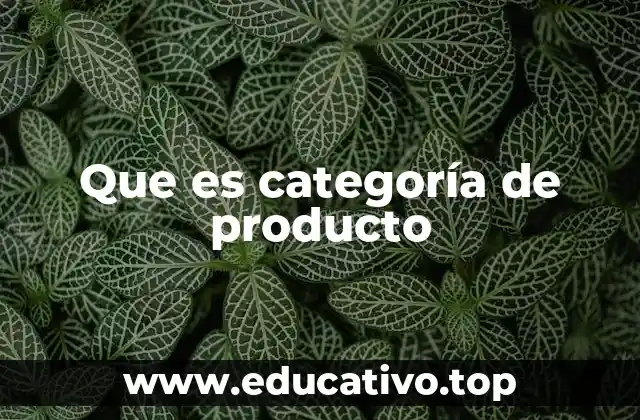 La importancia de organizar productos en categorías