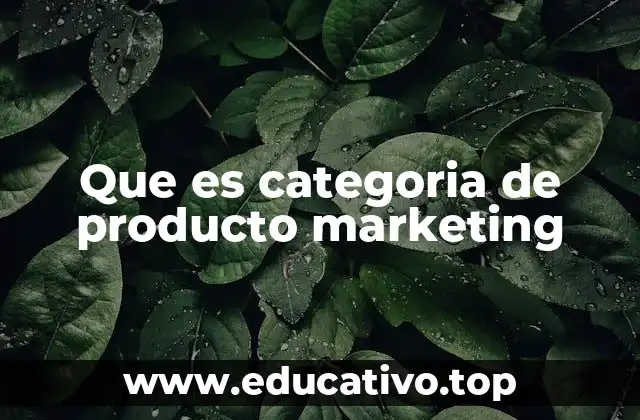 Que es categoria de producto marketing