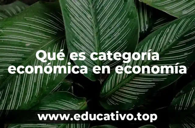 Qué es categoría económica en economía