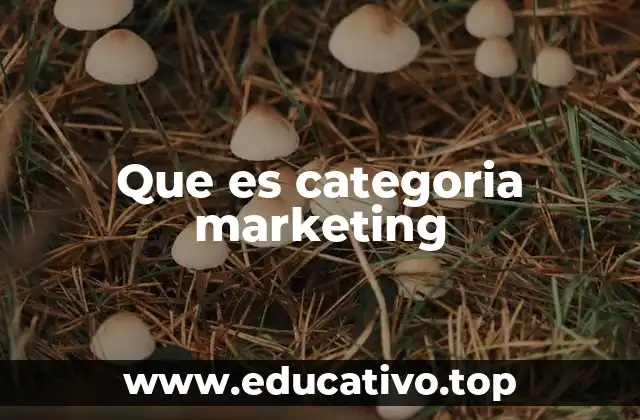 Que es categoria marketing