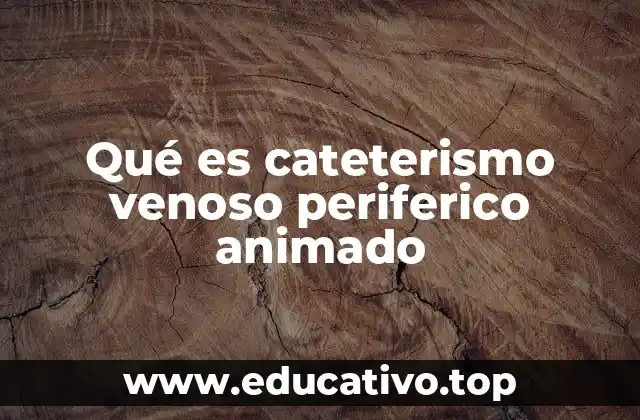 La importancia del cateterismo venoso periférico en la medicina moderna