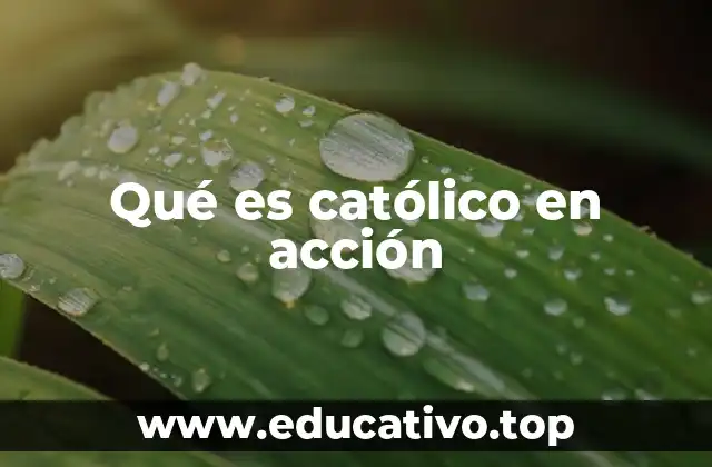 Qué es católico en acción