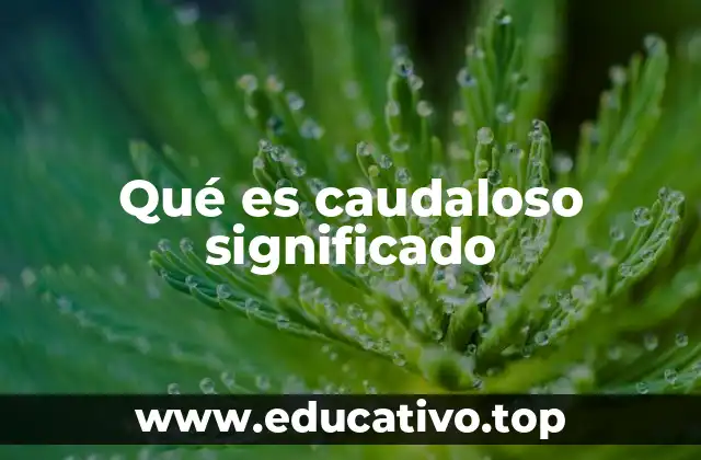 Qué es caudaloso significado