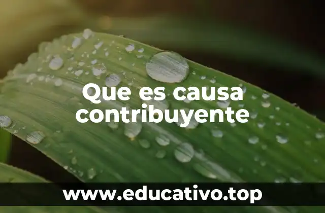 Que es causa contribuyente