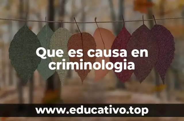 El rol de las causas en la interpretación del comportamiento criminal