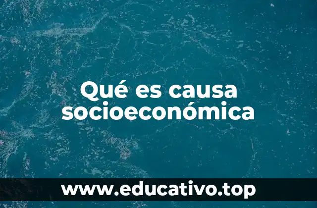 Qué es causa socioeconómica