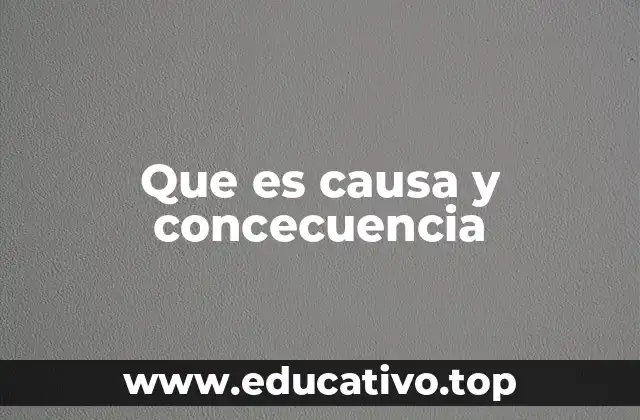 Que es causa y concecuencia