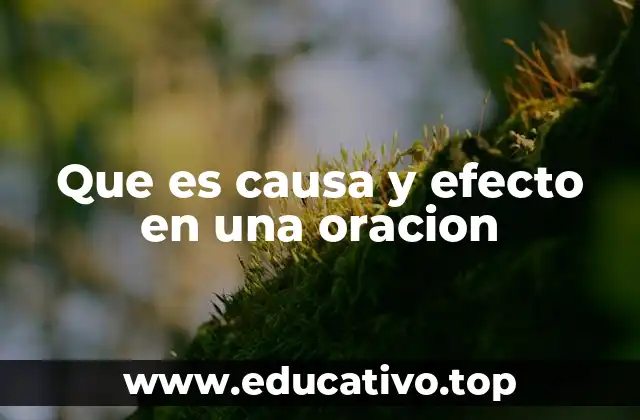 Que es causa y efecto en una oracion