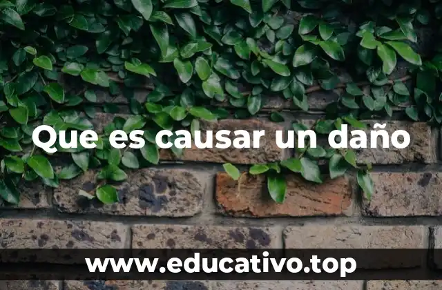 Que es causar un daño
