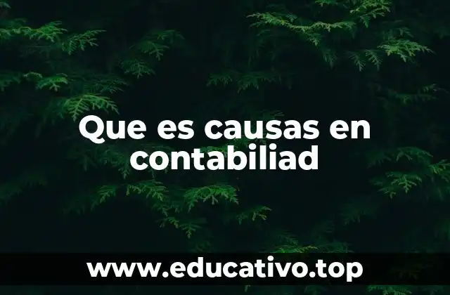 Que es causas en contabiliad