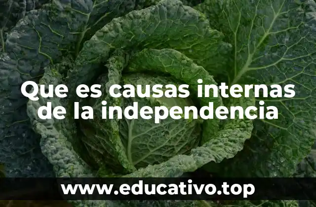 Que es causas internas de la independencia