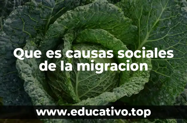 Que es causas sociales de la migracion