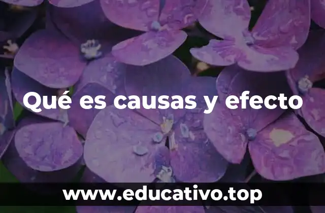 Qué es causas y efecto