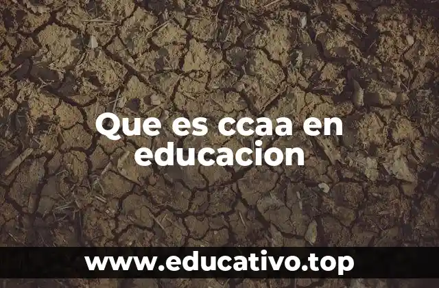 Que es ccaa en educacion