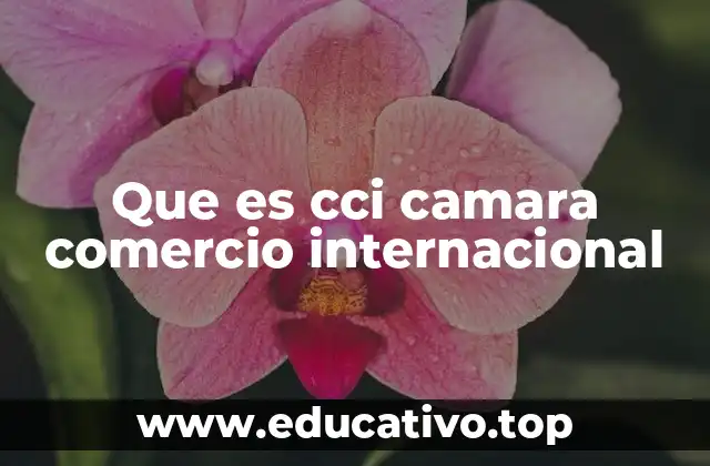 Que es cci camara comercio internacional