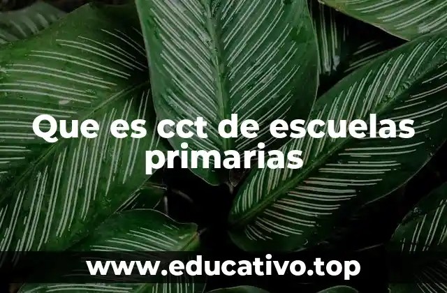 Que es cct de escuelas primarias