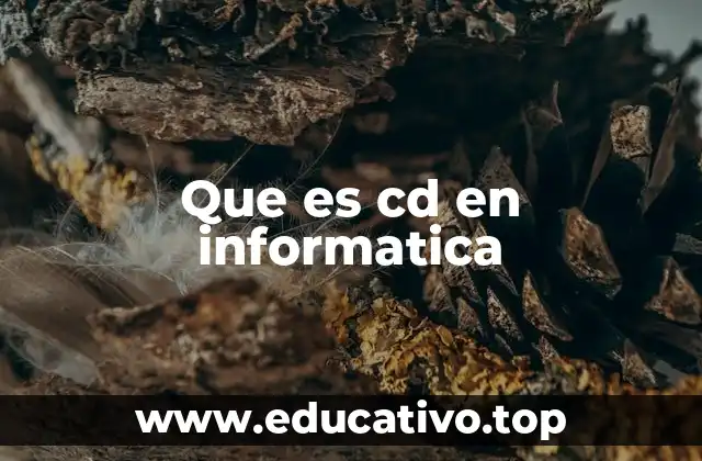 Que es cd en informatica