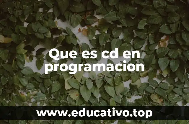 Que es cd en programacion
