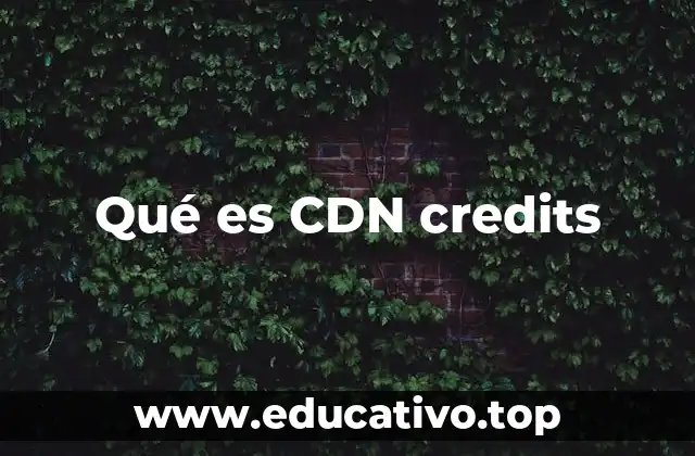 Qué es CDN credits