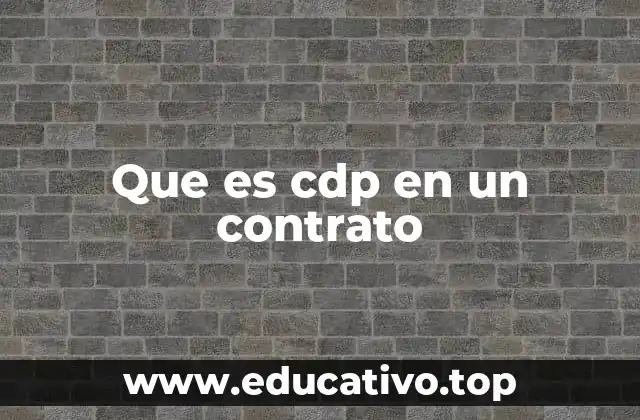 El rol del CDP en el marco contractual