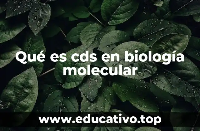 Qué es cds en biología molecular