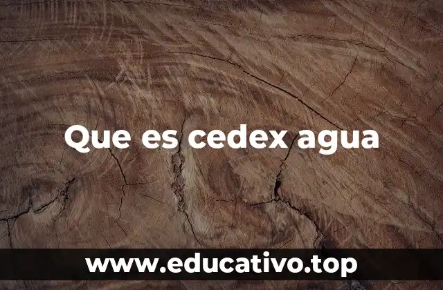 Que es cedex agua