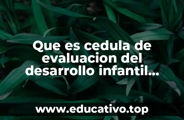 El rol de la cédula en el proceso pedagógico del preescolar