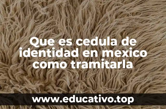Que es cedula de identidad en mexico como tramitarla