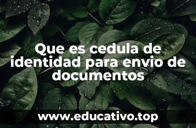 Que es cedula de identidad para envio de documentos