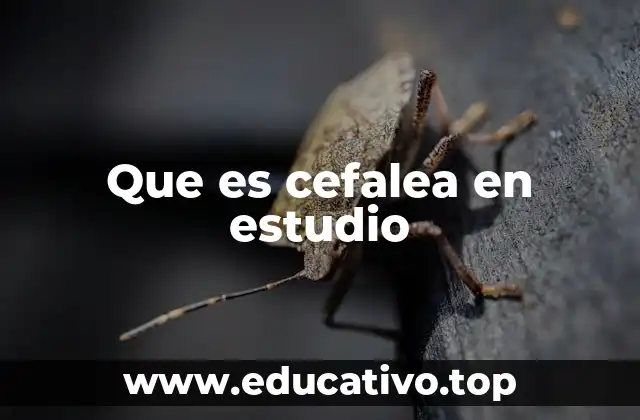 Que es cefalea en estudio