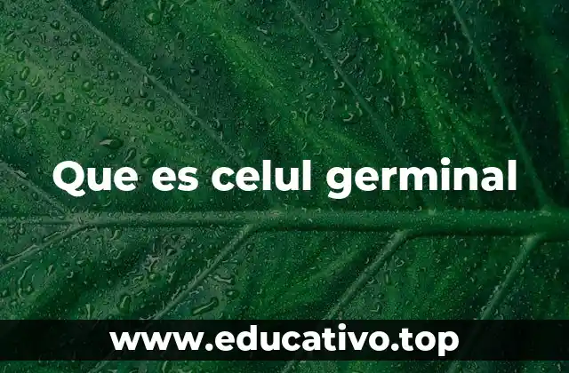 Que es celul germinal