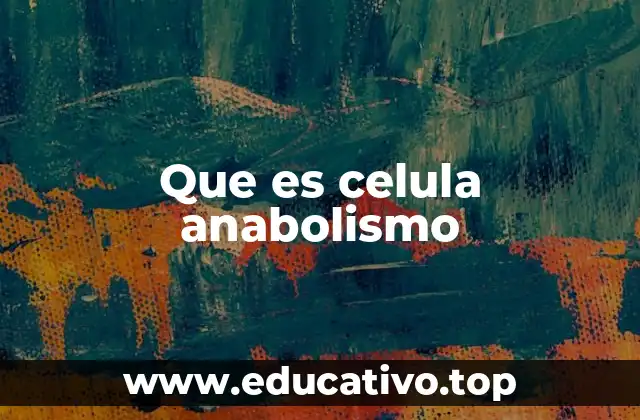 Que es celula anabolismo