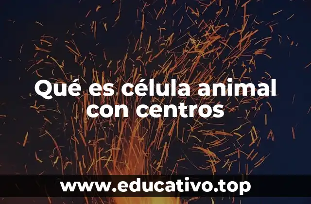 Qué es célula animal con centros
