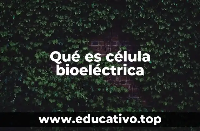 Qué es célula bioeléctrica
