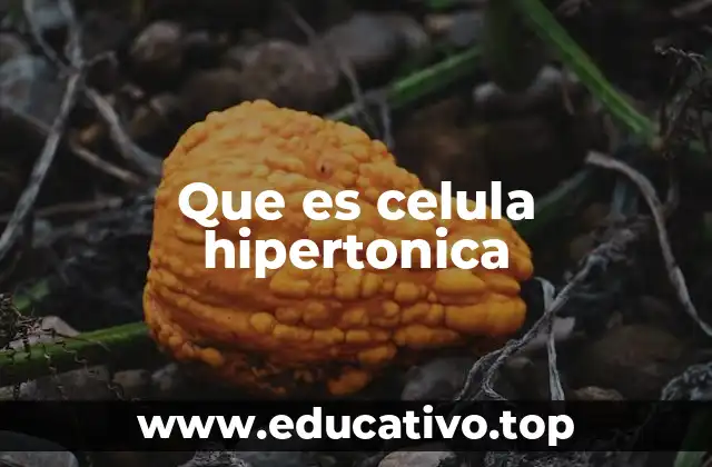 Que es celula hipertonica