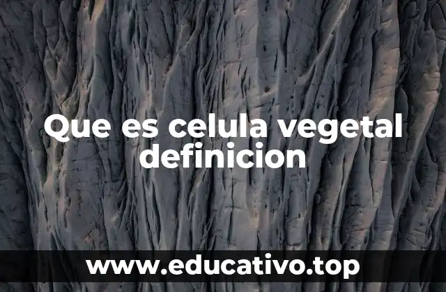 Que es celula vegetal definicion