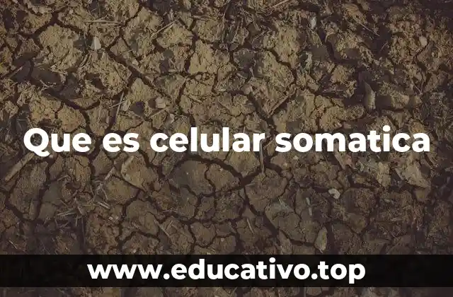 Que es celular somatica