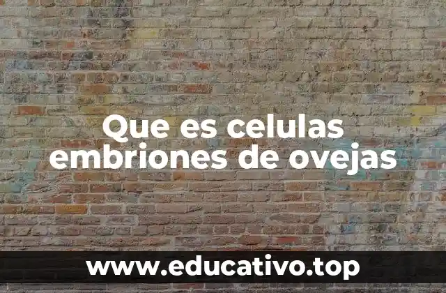 Que es celulas embriones de ovejas