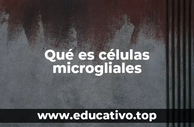 Qué es células microgliales