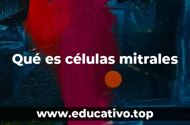 Qué es células mitrales